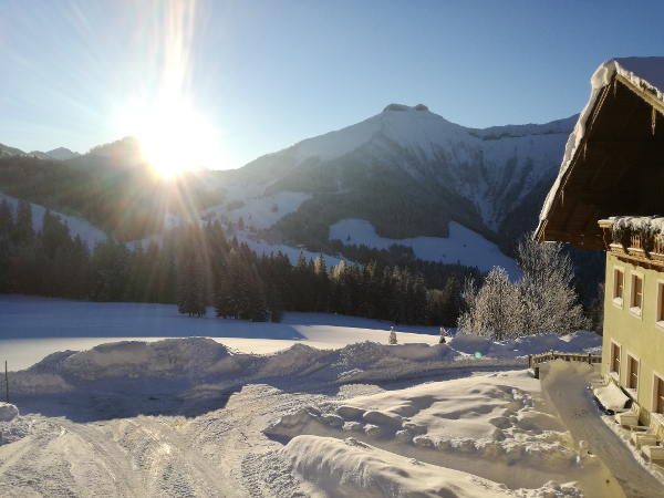 Bild 11 von Reitlhof