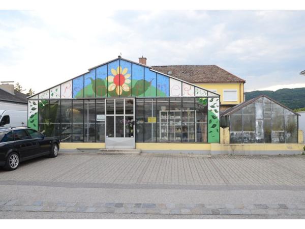 2511 Pfaffsttten, Preyhsgasse. Zimmer 1 Flche ca. 26 m2 Miete 425,26 . Single- oder Prchenhit in Zentrumslage mit Loggia. 2340 Mdling, Enzersdorfer Wunderschne Wohnung in Baden mit Terrasse zu mieten!