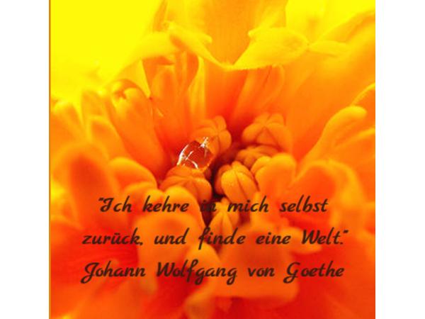 Bild 6 von Wieder zur Mitte - Mag. Marion Schneider