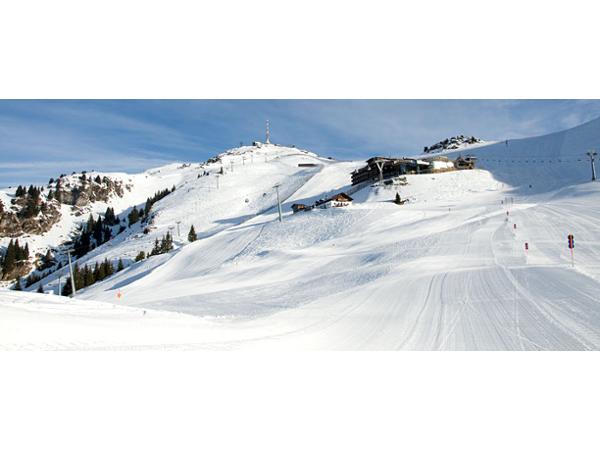 Bild 8 von Alpenhaus Kitzbüheler Horn 1670m - Franz Reisch