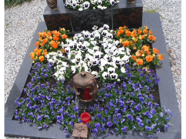 Bild 7 von Blumen Neuner