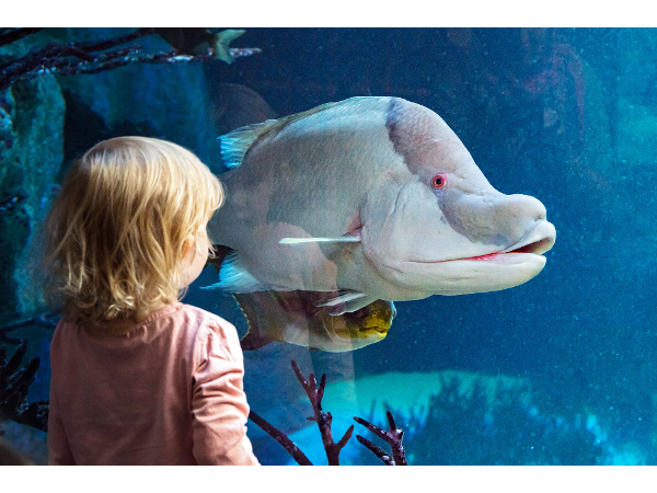 Bild 1 von Haus des Meeres Aqua Terra Zoo Wien