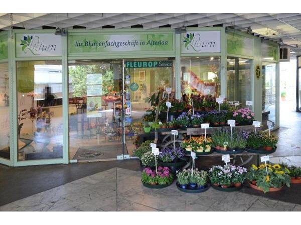 Bild 1 von LILIUM Inh Schmidtbauer Philipp