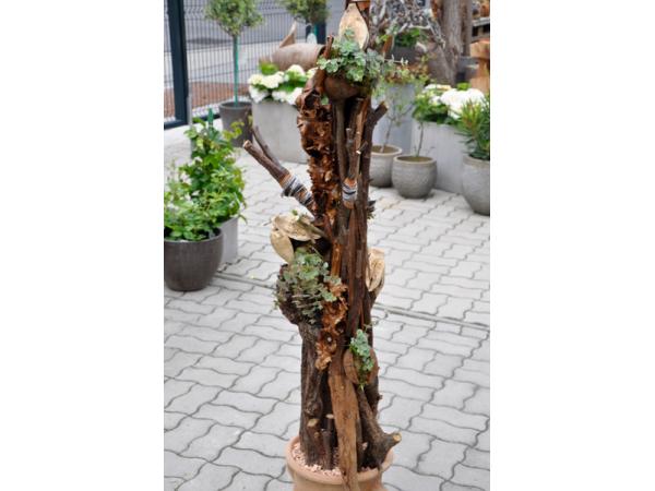 Bild 12 von Floral Garage Griessmaier