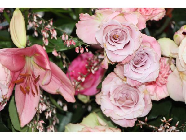 Bild 41 von Gartenbau-Blumen Helmut Friedl