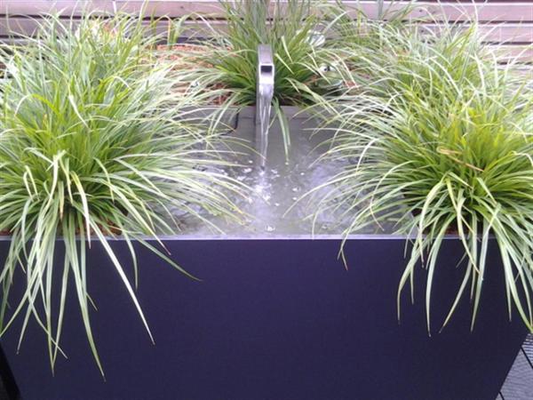 Bild 8 von GartenKult