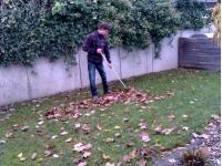 Immobilienbetreuung Schiestl