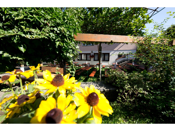 Bild 2 von Drexler-Leeb Weinbau-Heuriger
