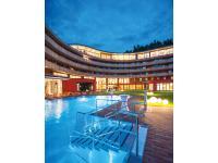 Schwarzenbacher GmbH