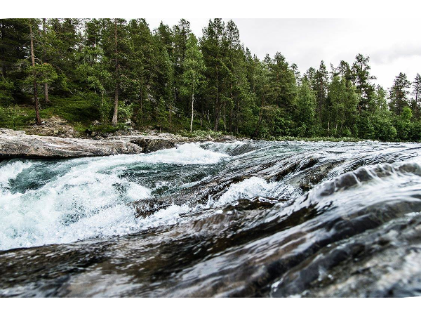 Bild 2 von Traxler Fine Art Photography
