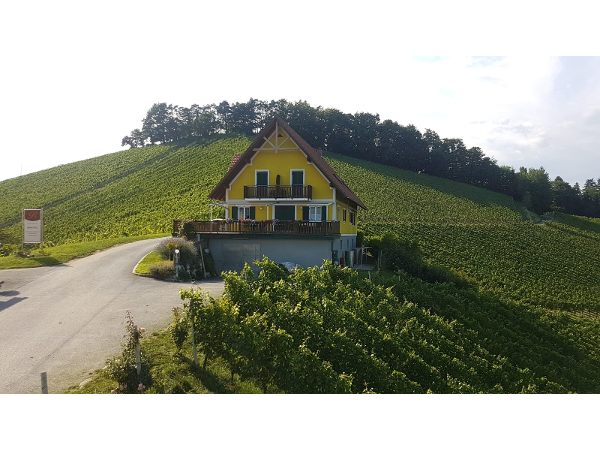 Bild 2 von Weingut - Gästehaus Birnstingl