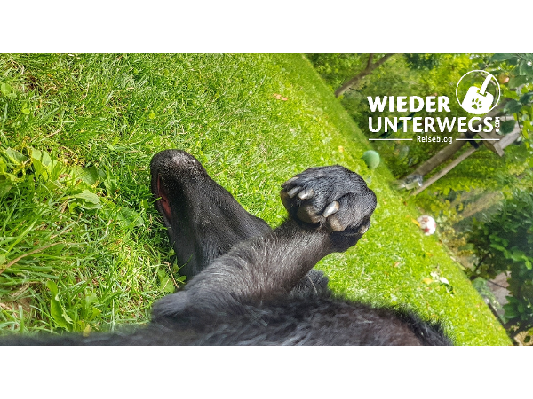 Bild 16 von WIEDERUNTERWEGS Werbeagentur und Reiseblog - Mag. Angelika Mandler-Saul