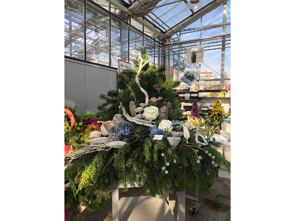 Bild 164 von Gartenbau-Blumen Helmut Friedl