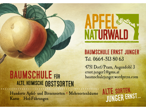 Bild 1 von Baumschule Ernst Junger