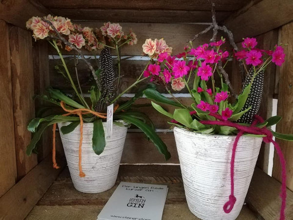 Bild 31 von blumenzeit - Anneliese Mahl