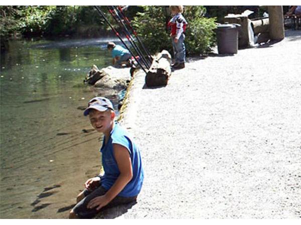 Bild 8 von Fischteich Au