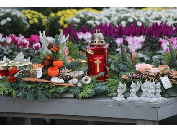 Bild 46 von Gartenbau-Blumen Helmut Friedl