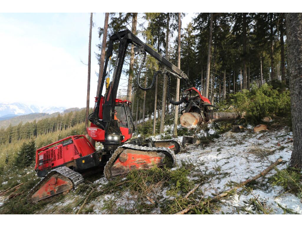Bild 11 von Holzernte KraWe GmbH & Co KG