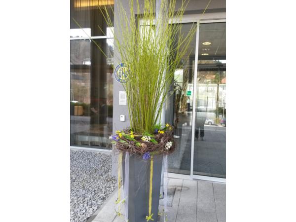 Bild 10 von Lydia's Blumenladen