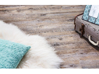 Bortolotti Markus Raumaustattung + Wasserbetten