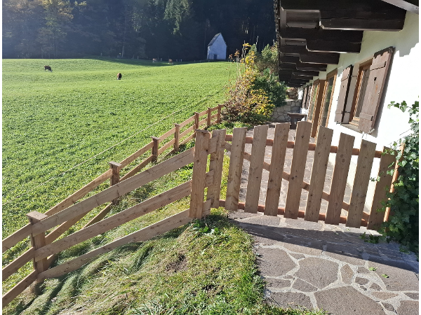 Bild 8 von Holz Haas Martin