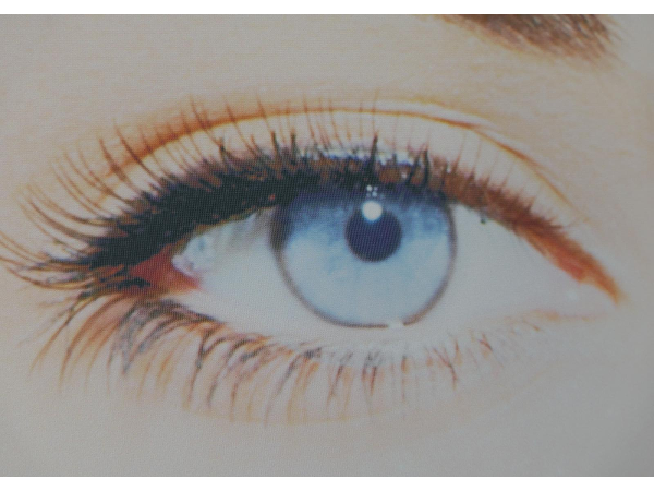Bild 8 von Petra Bayer - Lombagine Institut