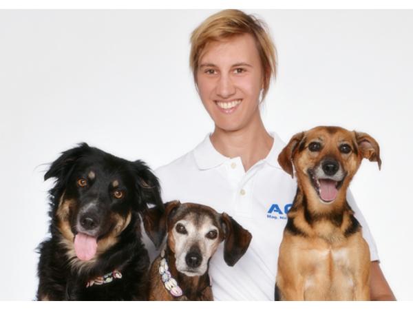Bild 14 von ACC Mag. Georg Egger Kleintierklinik- animal care center
