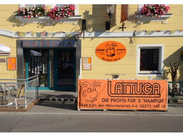 Bild 1 von Lattuga
