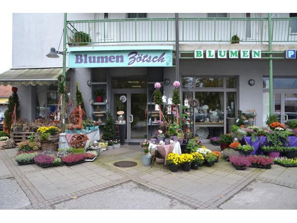 Bild 1 von Blumenhaus ZÖTSCH