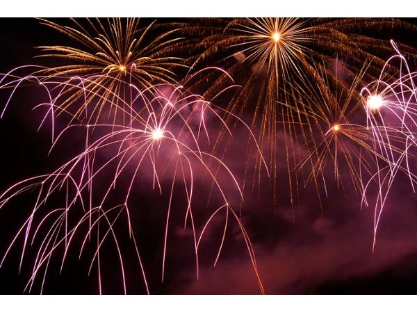 Bild 10 von Fire Flower Feuerwerkskunst