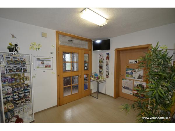 Bild 6 von Kleintierklinik Vitalis Dr. Charlotte Sontas e.U.