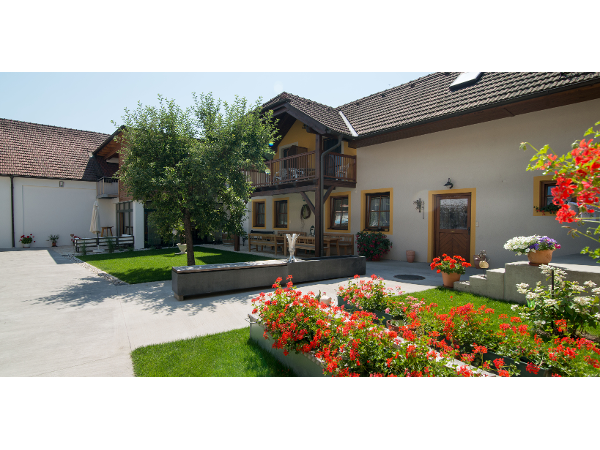 Bild 8 von Weingut Edlinger