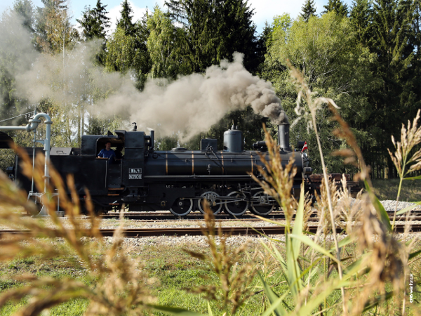 Bild 4 von Waldviertelbahn