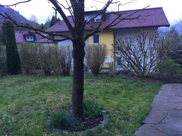 Bild 9 von Baumschule und Gartengestaltung Prötzner