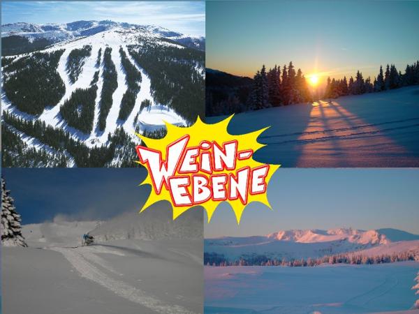 Bild 8 von AlmHüttenDorf Weinebene