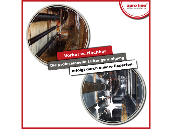 Bild 16 von Auro Line GmbH