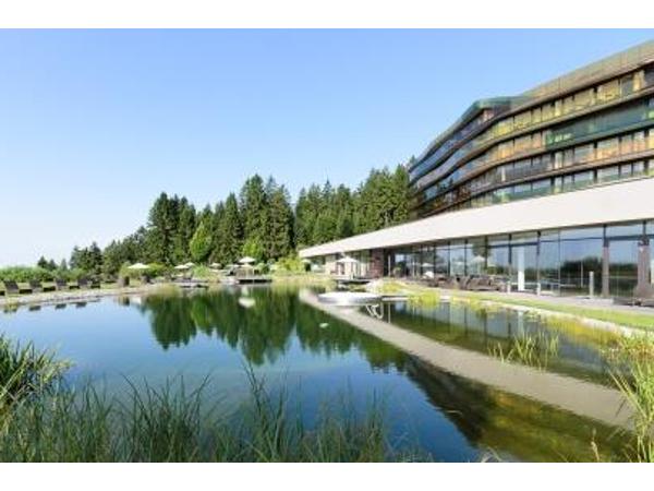 Bild 4 von Hotel AVIVA****s make friends