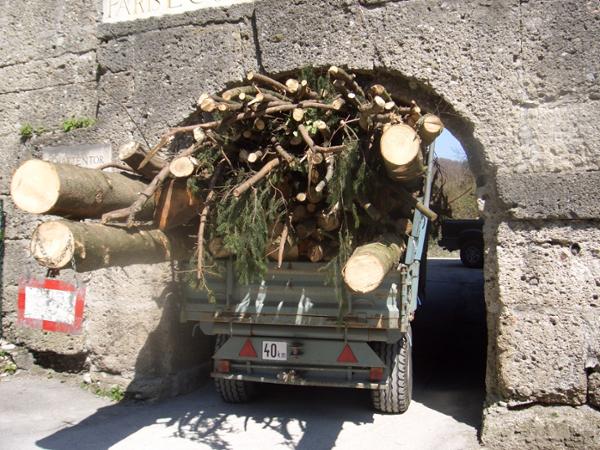 Bild 5 von Sodl Franz Baum- und Gartenservice