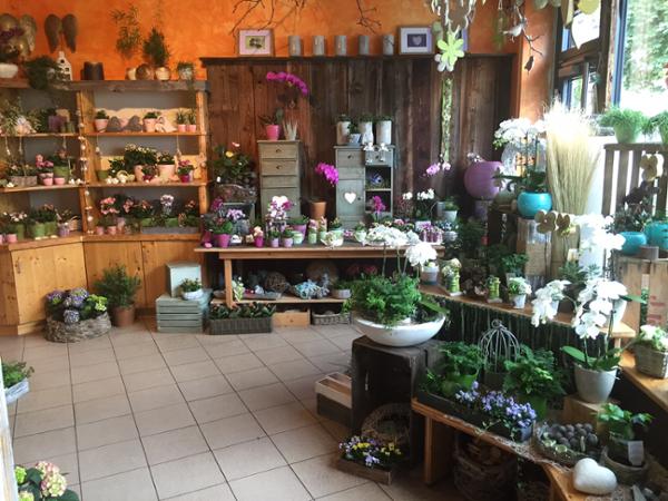 Bild 2 von Blumen Lehne