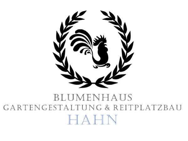 Bild 1 von Gartengestaltung Hahn