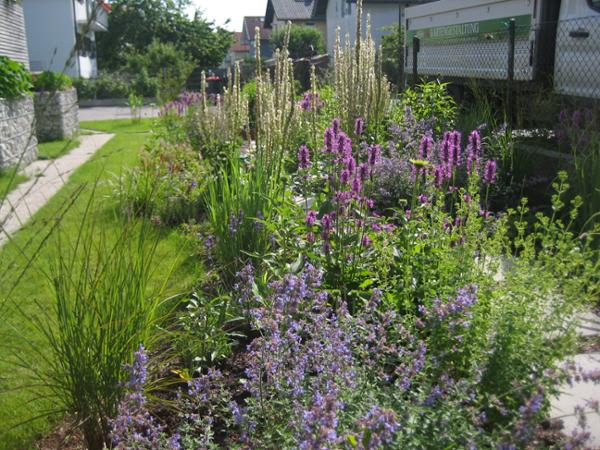 Bild 9 von Blumen und Garten Veronika Schmeikal OG