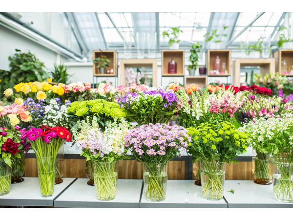Bild 10 von PENZO Flora Flötzersteig GmbH