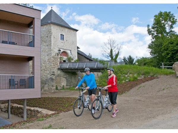 Bild 2 von Schatz.Kammer Burg Kreuzen