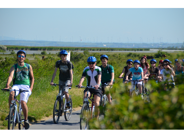 Bild 2 von Radsport Waldherr