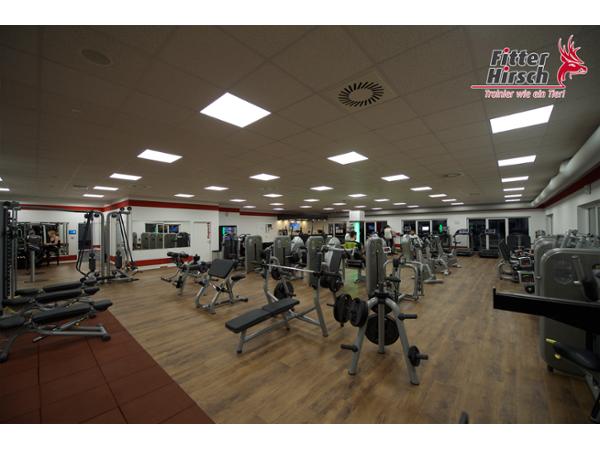 Bild 6 von FITTER HIRSCH - Premium Fitness Sebersdorf