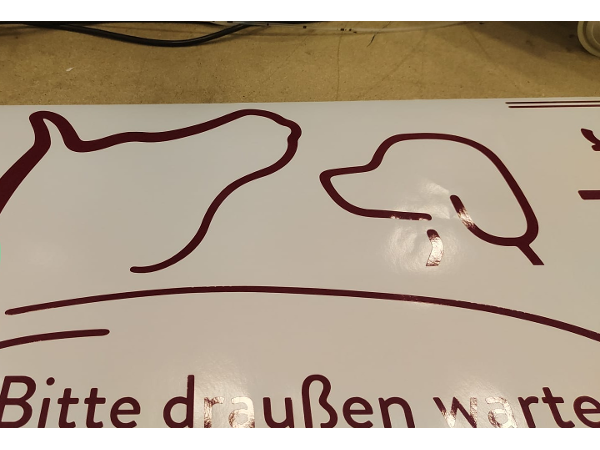 Bild 11 von Buntfeder