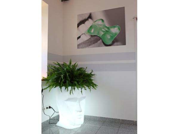 Bild 2 von Jahl Gerald DDr.- Implantat im Zentrum