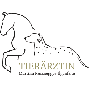Logo von Mag. Preissegger-Ilgenfritz Martina