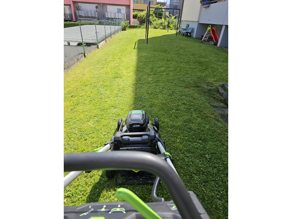 Bild 2 von MT Hausbetreuung
