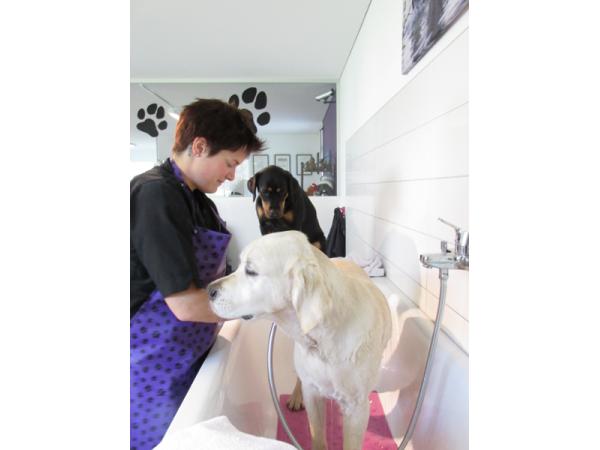 Bild 1 von Hundesalon Melanie